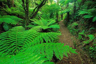 Steam游戏掌机两个上手视频 中文官网上线