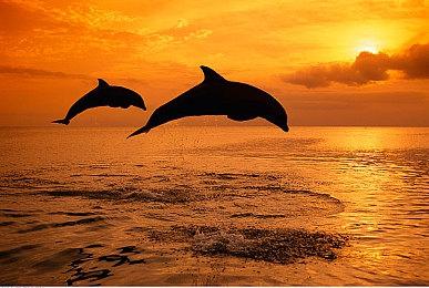 深海恐惧觉醒！洛夫克拉夫特式生存恐怖游戏《渊域》2025年第三季度即将登陆多平台