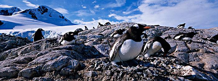“特别好评”多人幸存者游戏《极累冥途》大型更新推出 游戏迎来九折促销
