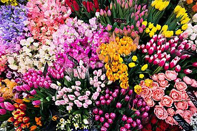 爆料称索尼串流掌机Project Q将于今年11月正式发售